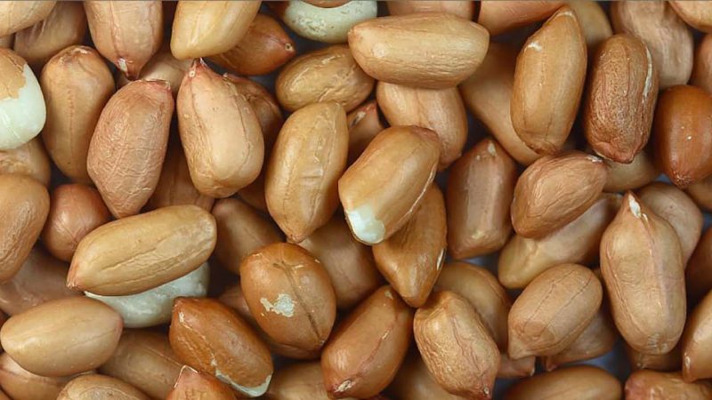 groundnuts